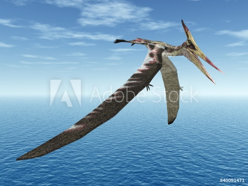 Pteranodon - 900561709