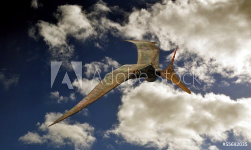 Pteranodon - 901145239
