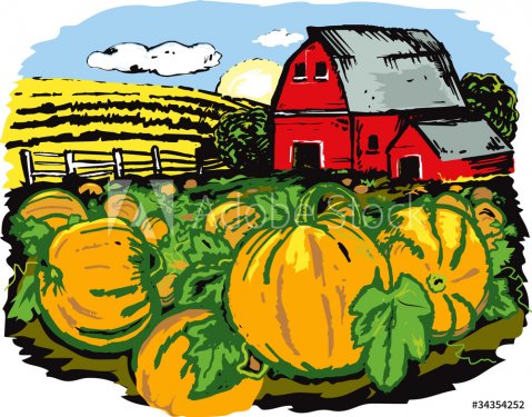Pumpkin Farm - 900459765
