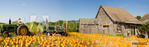 Pumpkin Patch Farm House with Halloween Decoration