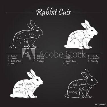 RABBIT meat cuts scheme - chalkboard - 901143904