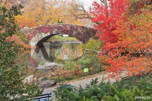 Red Ivy on Central Park Bridge - 901146777