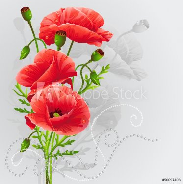 Red poppies on a gray background - 901140424