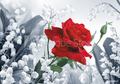 Red Rose in Black and white lily of the valley - 901141029