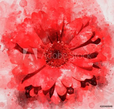 Red watercolor Abstract Floral - 901153589