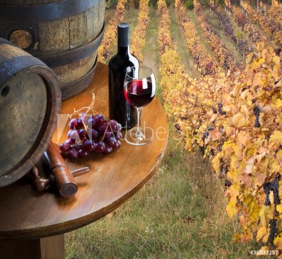 red wine with barrel on vineyard - 900464203
