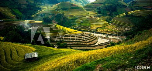 Rice fields on terraced in sunset at Mu Cang Chai, Vietnam - 901144538