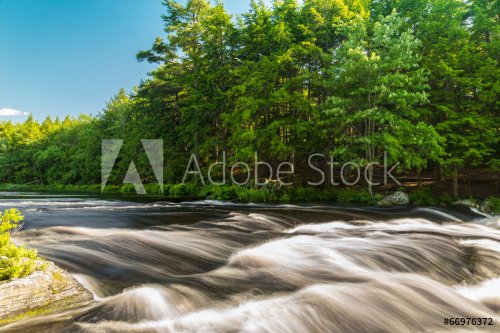 River in the forest - 901149278