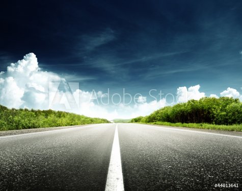 road in forest - 900620572