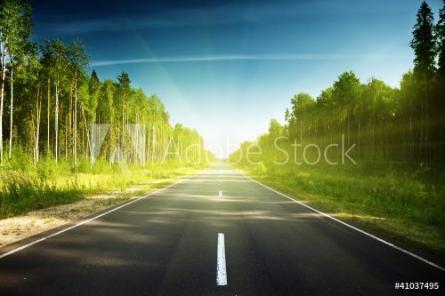 road in Russian forest - 900659112