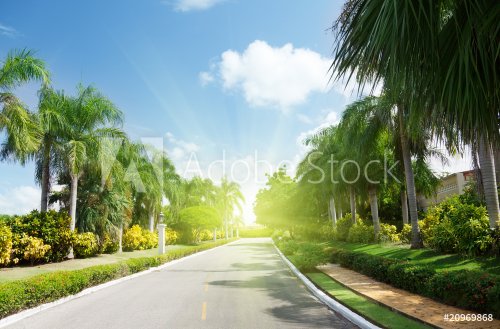 road in tropical garden