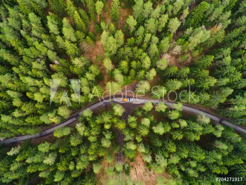 Road with truck in forest from above