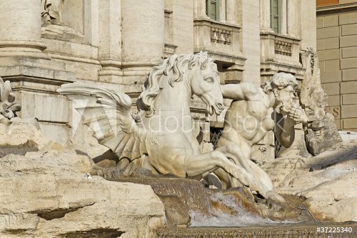 Roma, fontana di Trevi - 900573019