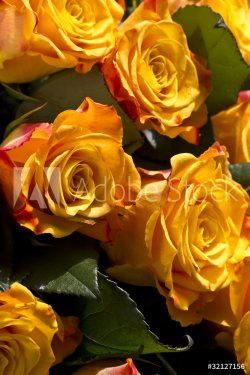 Rose gialle - 900573096
