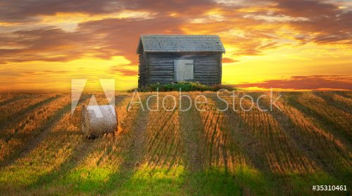 Rural landscape - 901138292