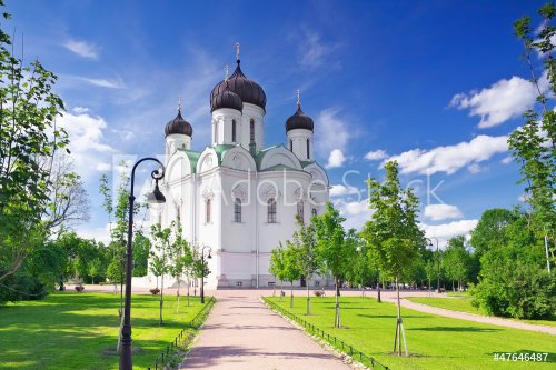 Russian Church in Pishkin, St. Petersburg. - 901100771