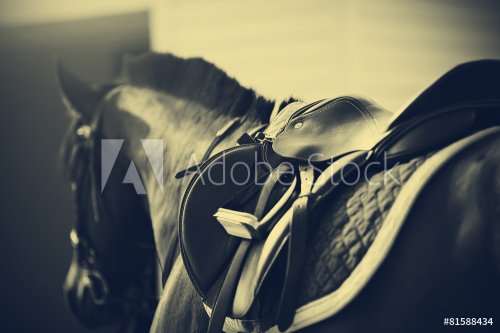 Saddle with stirrups on a back of a horse - 901151503