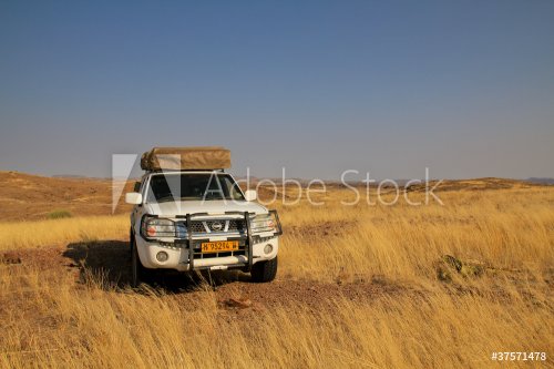 Safari in Namibia - 900388078