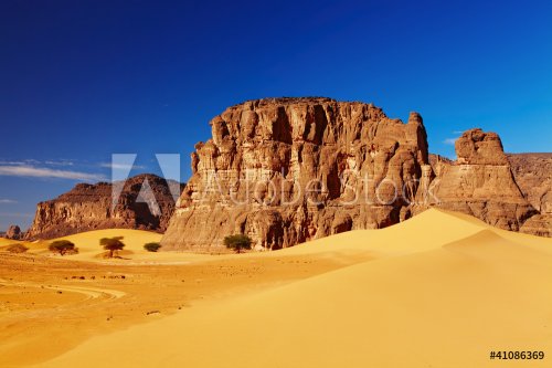 Sahara Desert, Algeria - 900366674