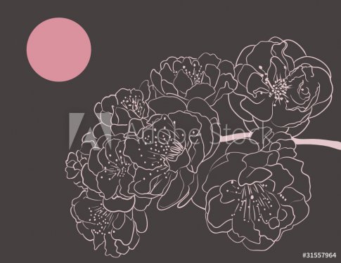 sakura flowers - 900458626