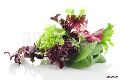 salad leaves - 900590496