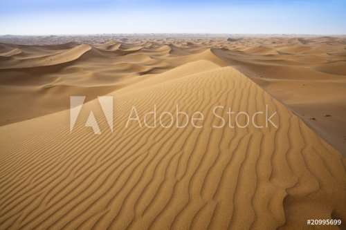 Sand dunes in Sahara. - 900069089
