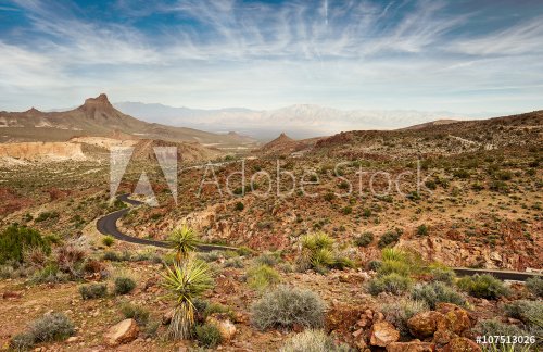 scenic road in the Mojave national park - 901149081