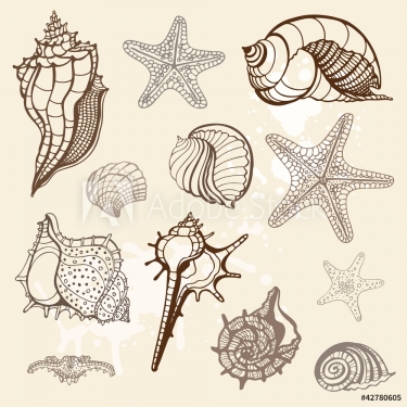 Sea collection. Hand drawn vector illustration - 900459688