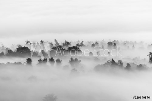 sea of clouds over the forest, Black and white tones in minimalist photography - 901153352