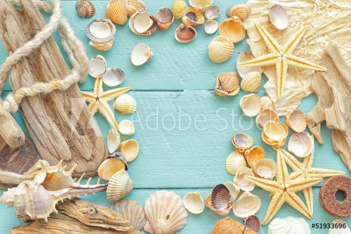 Sea shells greeting card