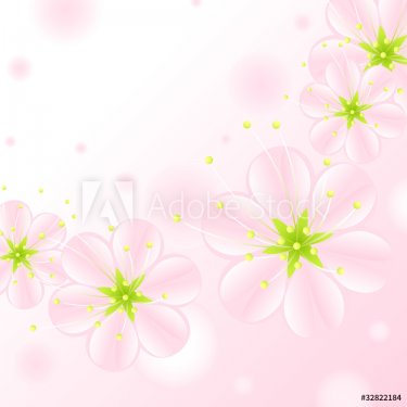 set of pink blossoms on a white background. vector. - 900949410
