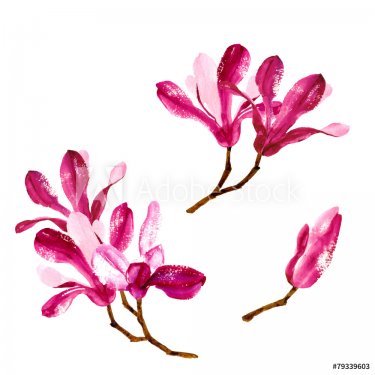 Set of red watercolor magnolia flowers - 901147274