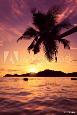 Seychelles couché de soleil - 900075424