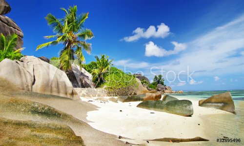 Seychelles - tropical holidays - 900144332