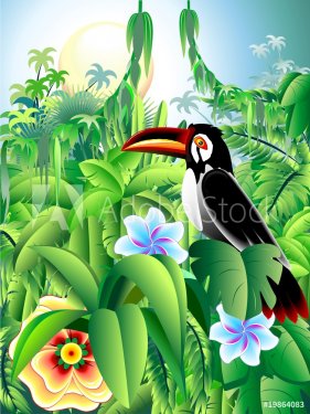Sfondo Tropico-Exotic Background-Toucan Tropiques