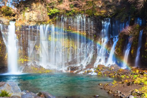 Shiraito no Taki waterfall with rainbow - 901143432