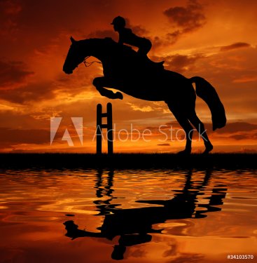 silhouette of a rider on a jumping horse - 900458882