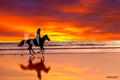 Silhouette of  girl skipping on a horse  on a sunset - 901154344