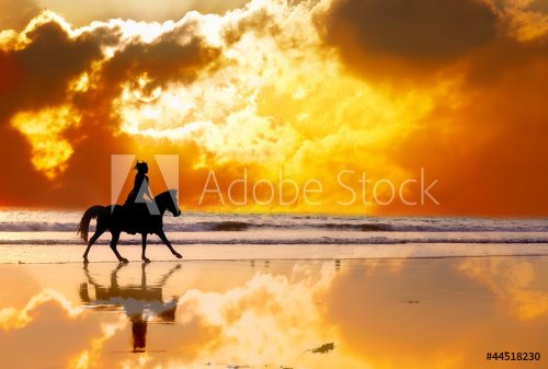 Silhouette of  girl skipping on a horse  on a sunset - 901154345