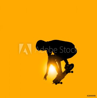skateboarder - 900053653