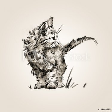 sketch isolated drawn by a small cute kitten - 901153544