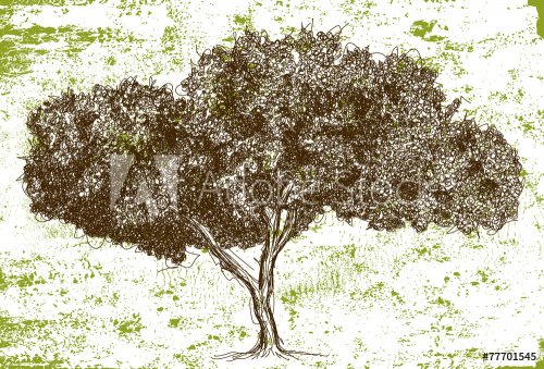 Sketchy wide oak tree - 901143742