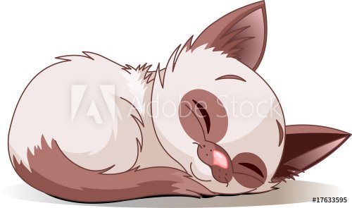 Sleeping kitten - 900458745