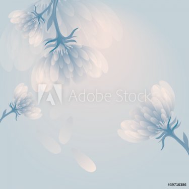 Snow peony / Soft blue flower background