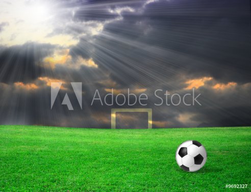 Soccer ball on grass - 900459932