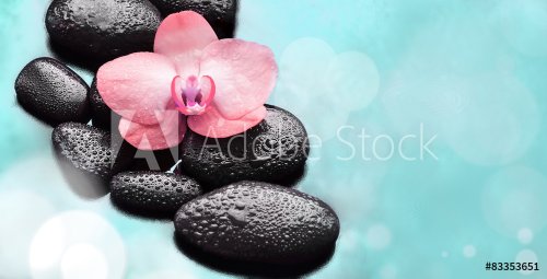 Spa concept. Flower pink orchid and  black stones. - 901145305