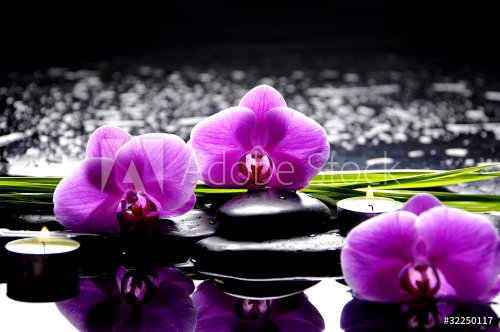 Spa still life with set of pink orchid and stones reflection - 900514768
