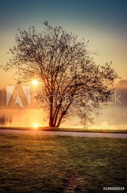 Spring morning landscape at sunrise. The rising sun in the city park over the pond.