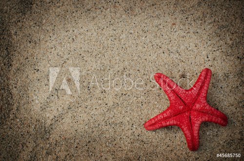 Starfish on a sandy background - 901141239