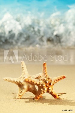 starfish on beach - 900098383